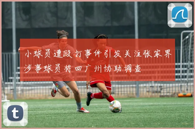 小球员遭殴打事件引发关注张家界涉事球员将回广州协助调查