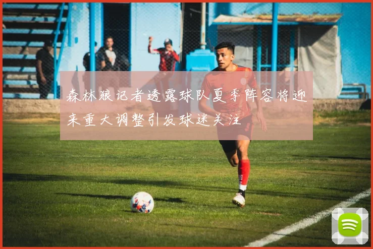 森林狼记者透露球队夏季阵容将迎来重大调整引发球迷关注