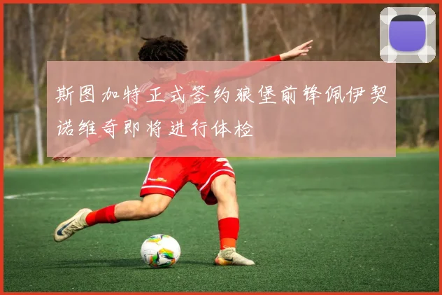 斯图加特正式签约狼堡前锋佩伊契诺维奇即将进行体检